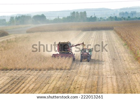 Combine harvester and tractor working in soybean field in autumn