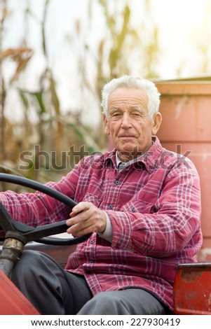 Old man driving tractor on corn field during harvest