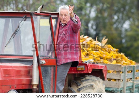 Senior man standing in tractor cabin, towing a trailer with corn cobs