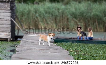 Dog standing on wooden dock while two girls with another dog sitting in boat in background