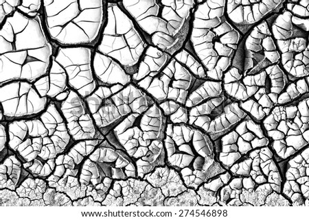 Abstract texture of cracked dirt on white background, black and white image
