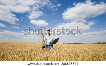 Young farmer holding laptop and bunch of ripe wheat stalk in the field