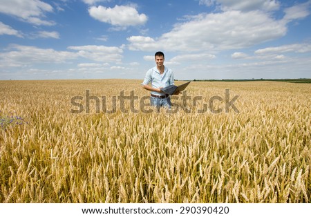 Businessman with laptop standing in ripe wheat field