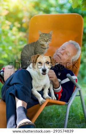 Senior man sleeping in sunbed in courtyard while dog and cat sitting in his lap
