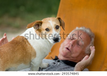 Cute dog standing on old man\'s chest and looking at camera