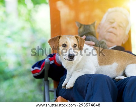 Senior man lying in sunbed in courtyard while dog and cat sitting in his lap