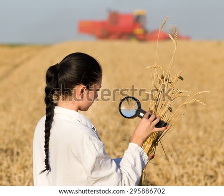 Young woman agronomist looking at wheat ears with magnifier, combine harvester in background