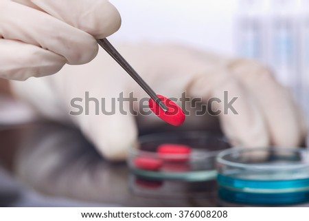 Close up of scientist\'s hands holding red pill with tweezers above petri dish. Medical research concept