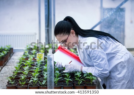 Young woman in white coat researching growth of sprouts in flower pots in greenhouse