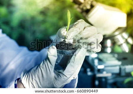 Close up of biologist\'s hand with protective gloves holding young plant with root above petri dish with soil. Microscope in background. Biotechnology, plant care and protection concept