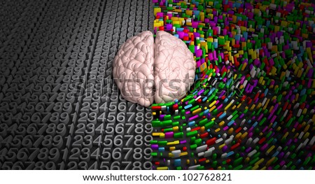 A typical brain with the left side depicting an analytical, structured and logical mind, and the right side depicting a scattered, creative and colorful side.