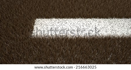 A closeup concept of a flat section of short hair with a straight strip shaved down to stubble running through the middle on a white surface
