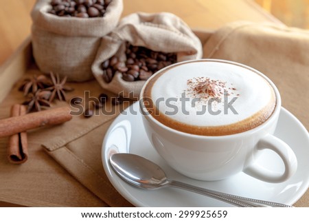A cup of cappuccino with spoon