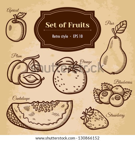 Set of fruits. For menu. Hand drawing, retro. Healthy food. Vintage style.