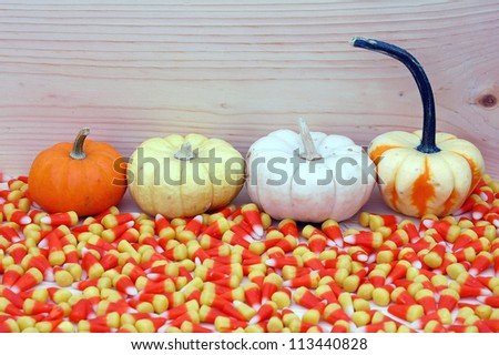 mini pumpkin and corn tooth candy on wood background