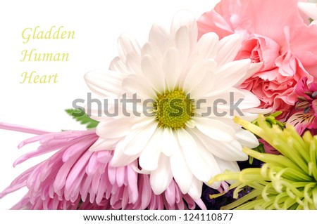 mix of flower for background uses