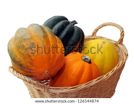 acorn squash in basket isolated on white