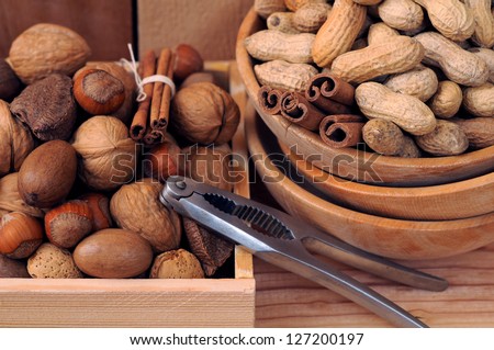 nuts in shells: hazelnut, almond, Brazil nut, walnut, peanut, and pecan