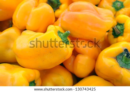 organic yellow bell pepper from garden