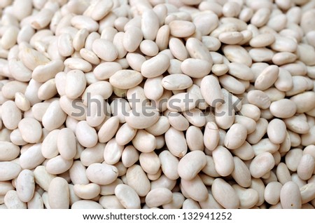 navy beans for background uses