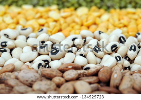 pinto, black eyes bean, yellow split bean  and mung bean