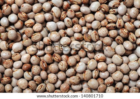 a lot of pigeon pea for background uses