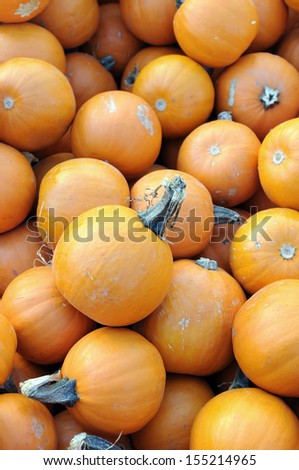 mini pumpkins at market place