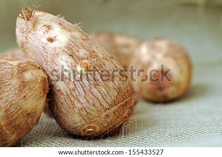 taros root on burlap background (very delicious and good taste)