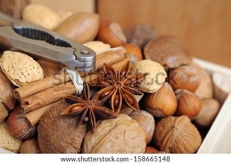 nuts in shells: hazelnut, almond, Brazil nut, walnut, and pecan