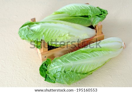 three fresh roman heart lettuce in wooden crate on table