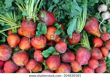 orange beet bunch at organic products market place