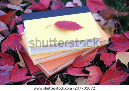 forgotten colorful books on full leaves yard in Autumn season