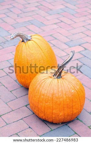 two pumpkin on the brick yard for Autumn decoration