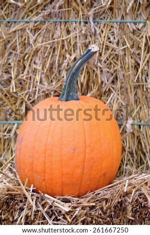 some pumpkin with hay for Fall decoration