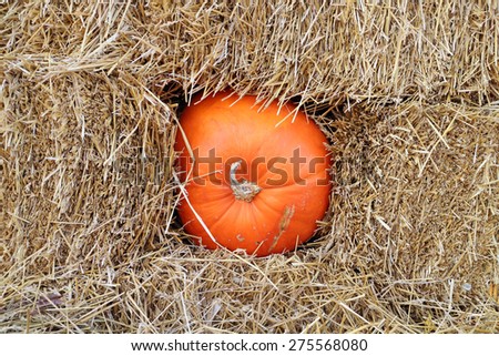 a giant orange pumpkin with hay at market place