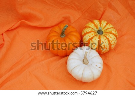 variety of pumpkin
