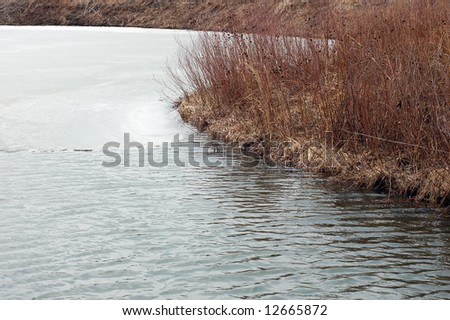 lake shore in late winter (melting ice surface)