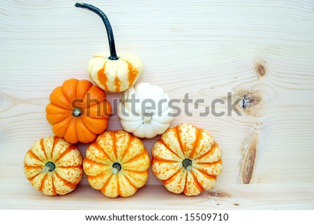 mini pumpkins
