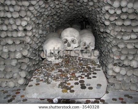 skulls and money