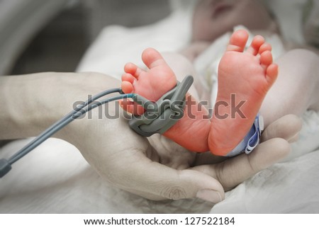 mother\'s hand holding feet of new born baby sick in incubator chamber in hospital