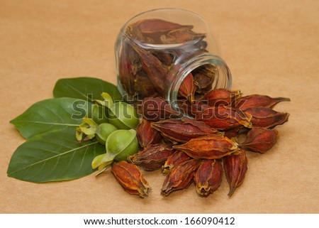 Dried gardenia fruit ,Dried gardenia fruit used in chinese herbal medicine