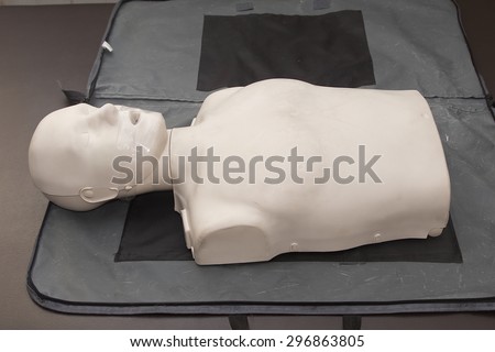 Model of dummy used for CPR training.