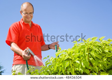 Middle-aged man watering plants