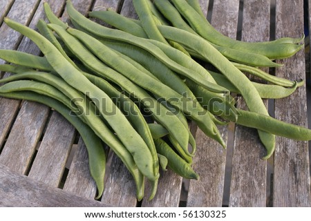 Freshly picked Runner beans