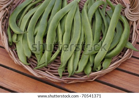 Runner beans crop