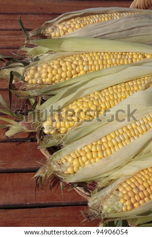 Fresh ripe corn growing in rural field