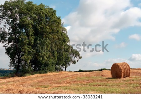 hay roll on land with  trees
