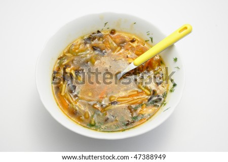 china food peking soup on the plate