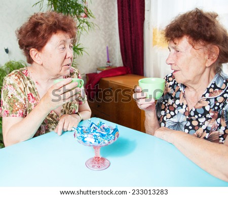 Two seniors drinks tea. Old woman talking. Friendship elderly