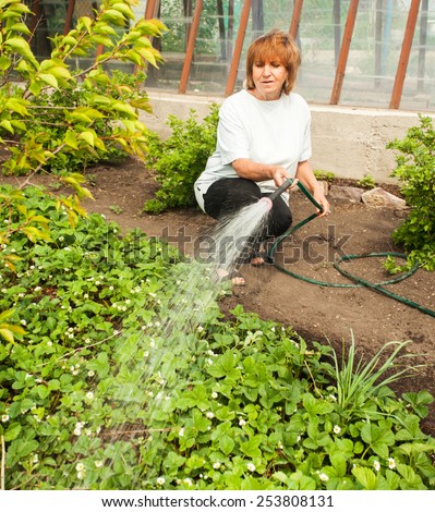 Mature woman watering garden beds